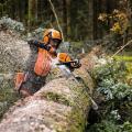 STIHL Petrol Chainsaw