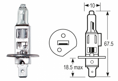 Bulb - H1 448 12V 55W