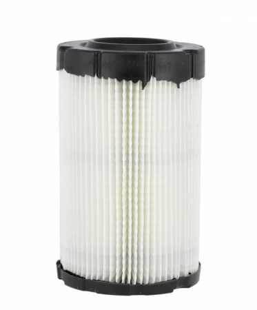 Air Filter - Briggs & Stratton