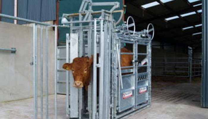 Head Locking Gates